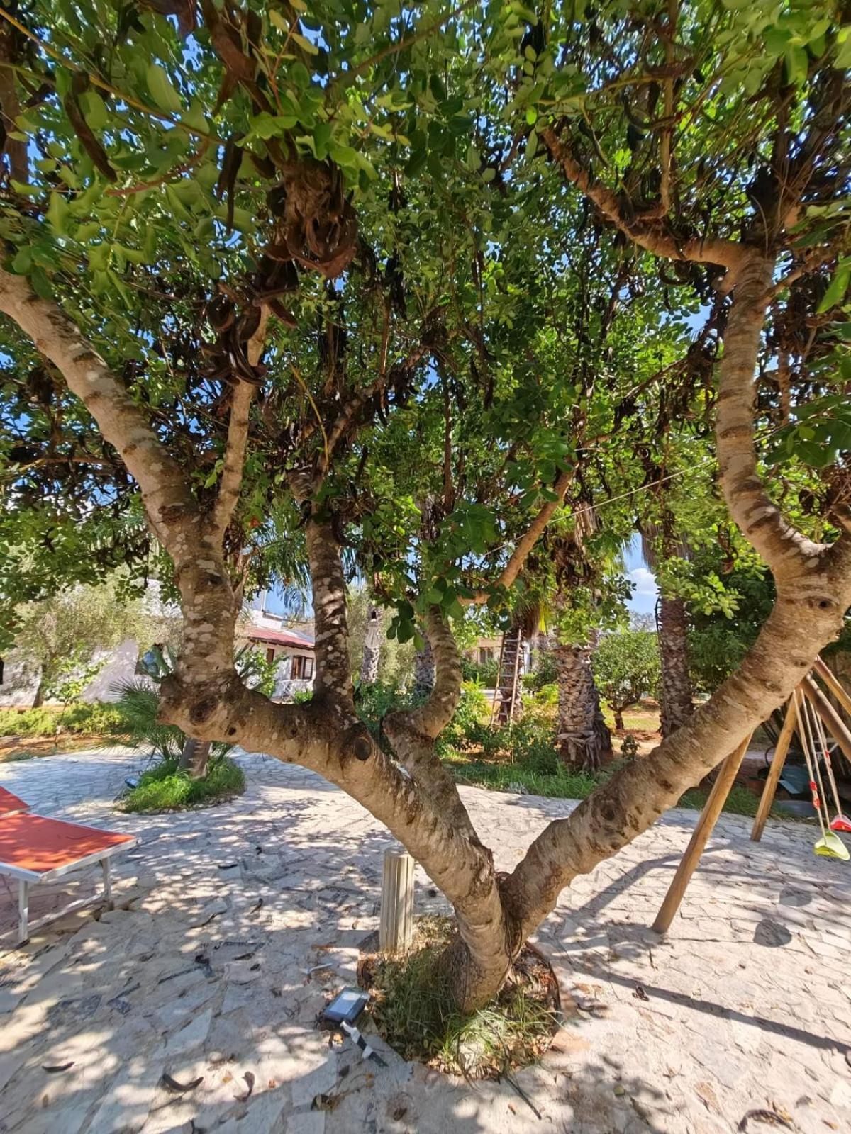 Holiday home Il Carrubo