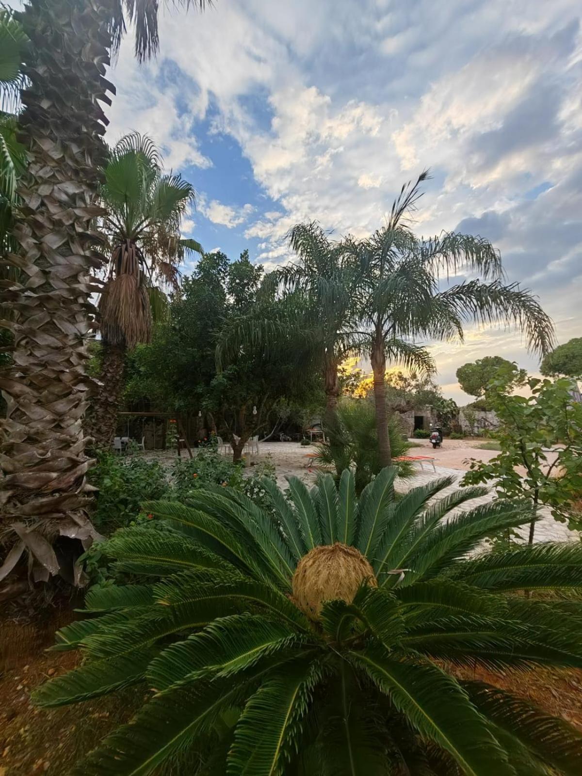 Il Carrubo Holiday home Gallipoli